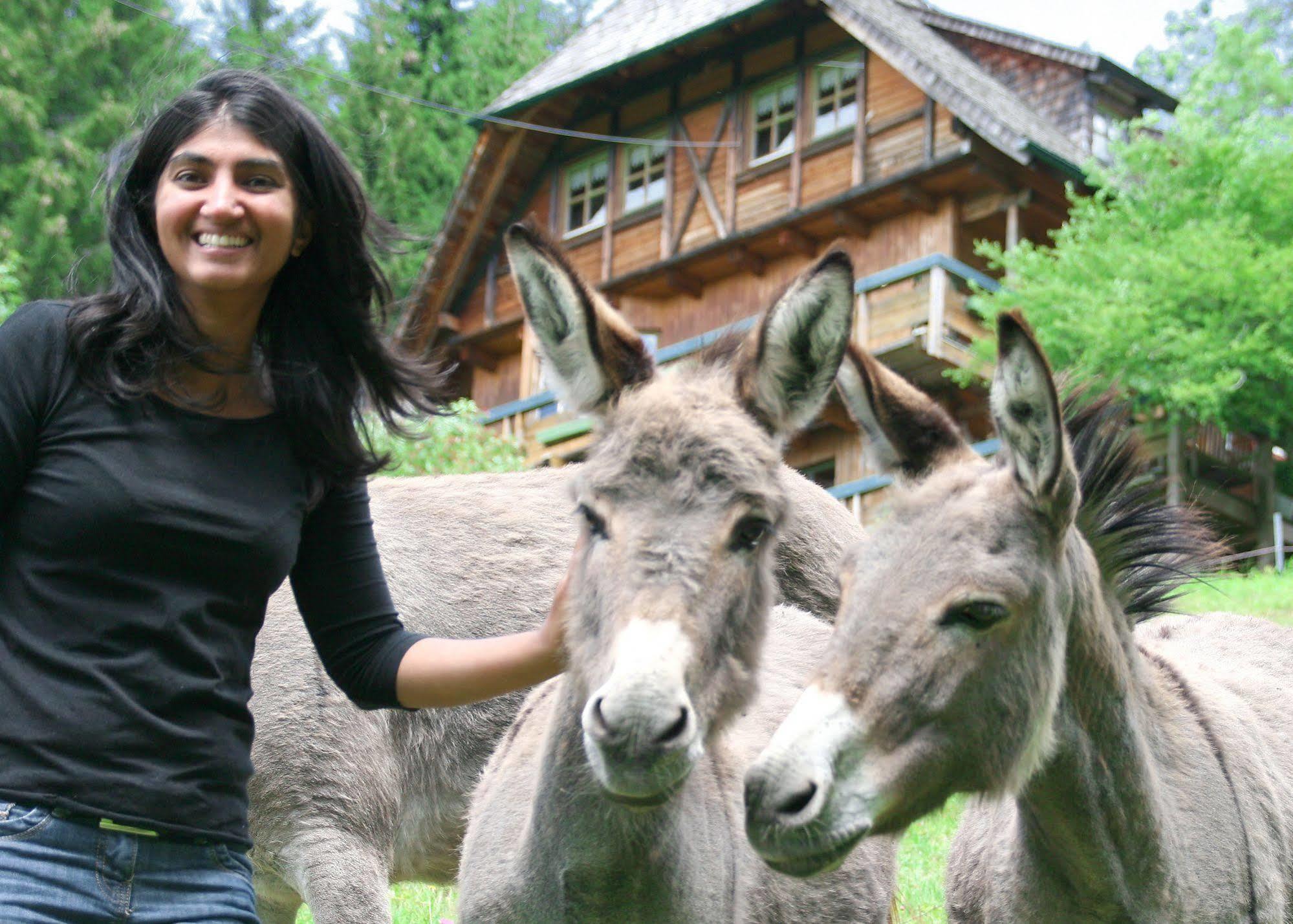 Appartement Ferienwohungen Gibbesbachhof à Triberg im Schwarzwald Extérieur photo